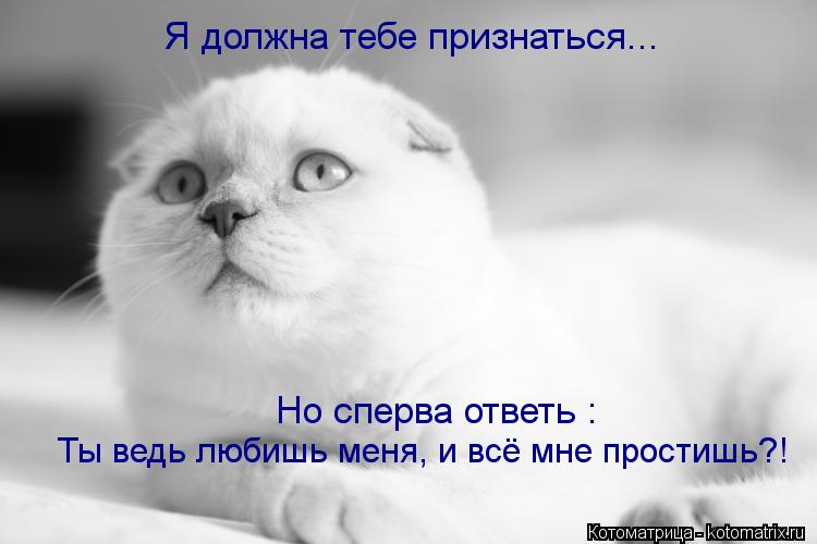 Ты ведь любишь меня, и всё мне простишь?! Я должна тебе признаться... Но сперва ответь :... Котоматрица: Ты ведь любишь меня, и всё мне простишь?! Я должна тебе признаться... Но сперва ответь :