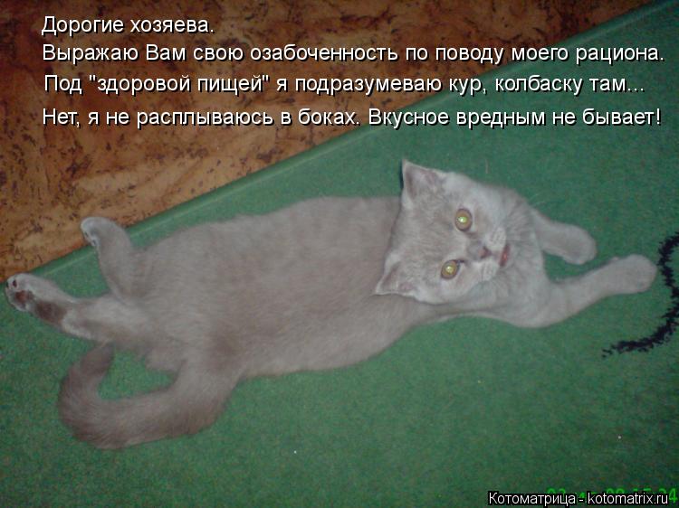 Выражаю Вам свою озабоченность по поводу моего рациона. Дорогие хозяева. Под "здоровой пищей" я подра... Котоматрица: Выражаю Вам свою озабоченность по поводу моего рациона. Дорогие хозяева. Под "здоровой пищей" я подразумеваю кур, колбаску там... Нет, я не ра