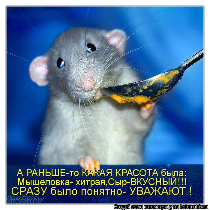 А РАНЬШЕ-то КАКАЯ КРАСОТА была: Мышеловка- хитрая,Сыр-ВКУСНЫЙ!!! СРАЗУ было понятно- УВАЖАЮТ !... Котоматрица: А РАНЬШЕ-то КАКАЯ КРАСОТА была: Мышеловка- хитрая,Сыр-ВКУСНЫЙ!!! СРАЗУ было понятно- УВАЖАЮТ !