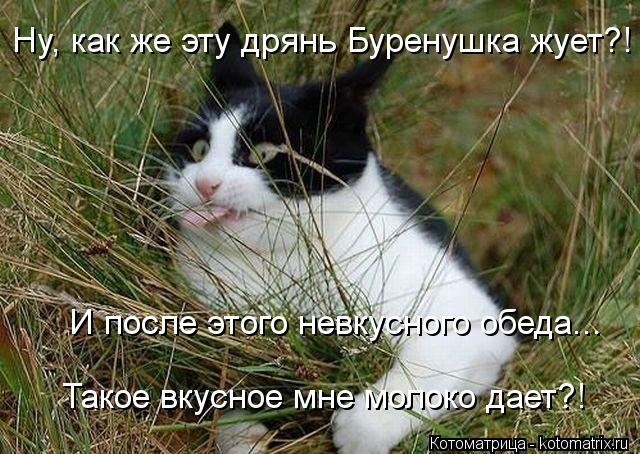 Ну, как же эту дрянь Буренушка жует?! И после этого невкусного обеда... Такое вкусное мне молоко дает... Котоматрица: Ну, как же эту дрянь Буренушка жует?! И после этого невкусного обеда... Такое вкусное мне молоко дает?!