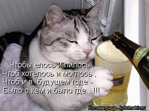 ...Чтобы елось и пилось , Чтоб хотелось и моглось , Чтоб и в будущем годе - Было с кем и было гд... Котоматрица: ...Чтобы елось и пилось , Чтоб хотелось и моглось , Чтоб и в будущем годе - Было с кем и было где...!!!