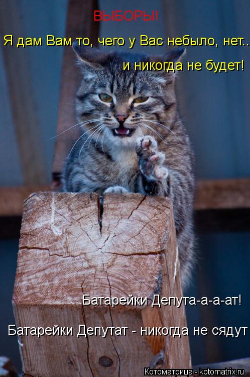 ВЫБОРЫ! Я дам Вам то, чего у Вас небыло, нет... и никогда не будет! Батарейки Депута-а-а-ат! Батарейк... Котоматрица: ВЫБОРЫ! Я дам Вам то, чего у Вас небыло, нет... и никогда не будет! Батарейки Депута-а-а-ат! Батарейки Депутат - никогда не сядут