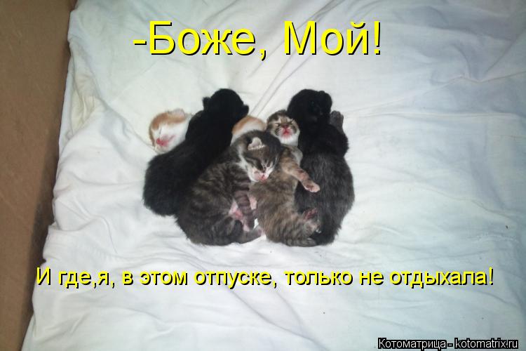 -Боже, Мой! И где,я, в этом отпуске, только не отдыхала!... Котоматрица: -Боже, Мой! И где,я, в этом отпуске, только не отдыхала!