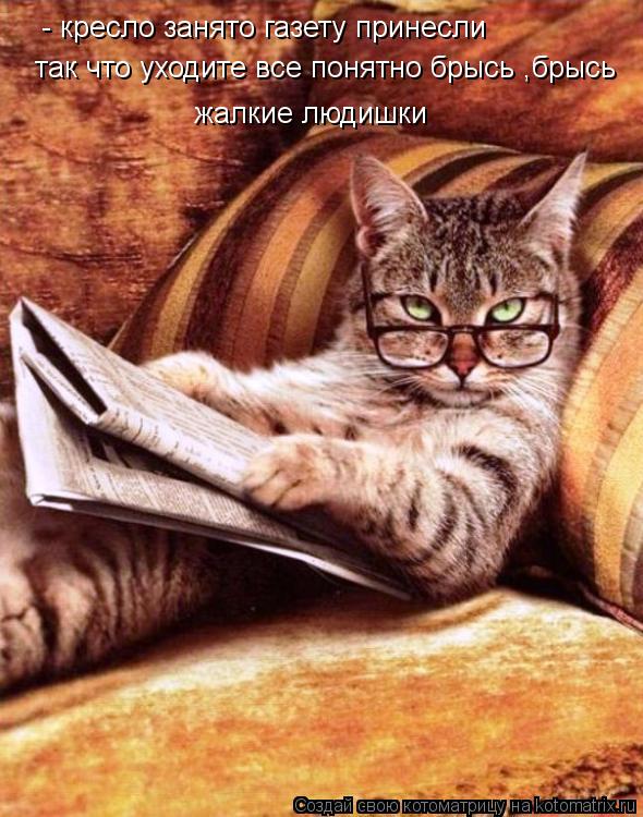 - кресло занято газету принесли так что уходите все понятно брысь ,брысь жалкие людишки... Котоматрица: - кресло занято газету принесли так что уходите все понятно брысь ,брысь жалкие людишки