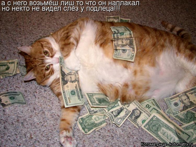 а с него возьмёш лиш то что он наплакал но некто не видел слёз у подлеца!!!... Котоматрица: а с него возьмёш лиш то что он наплакал но некто не видел слёз у подлеца!!!