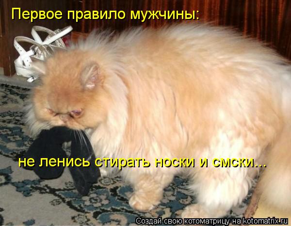 Первое правило мужчины: не ленись стирать носки и смски...... Котоматрица: Первое правило мужчины: не ленись стирать носки и смски...