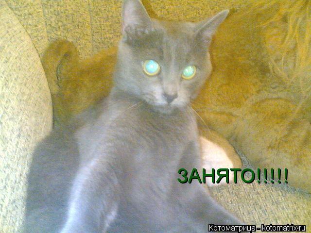ЗАНЯТО!!!!!... Котоматрица: ЗАНЯТО!!!!!