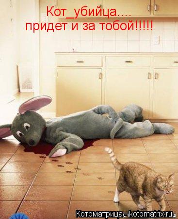 Кот_убийца.... придет и за тобой!!!!!... Котоматрица: Кот_убийца.... придет и за тобой!!!!!