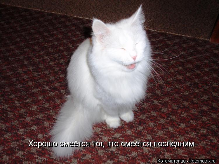 Хорошо смеётся тот, кто смеётся последним Хорошо смеётся тот, кто смеётся последним... Котоматрица: Хорошо смеётся тот, кто смеётся последним Хорошо смеётся тот, кто смеётся последним