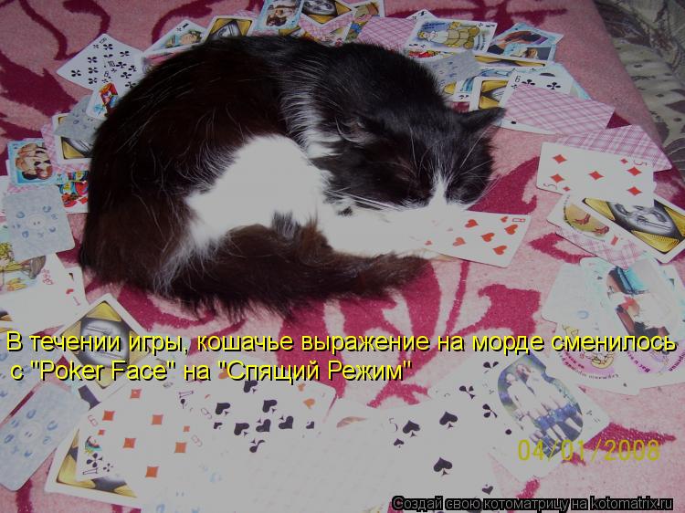 В течении игры, кошачье выражение на морде сменилось с "Poker Face" на "Спящий Режим"... Котоматрица: В течении игры, кошачье выражение на морде сменилось с "Poker Face" на "Спящий Режим"