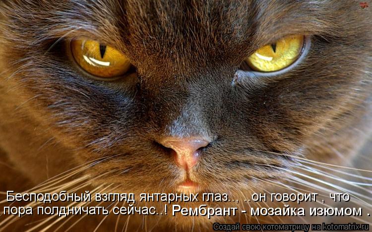 Бесподобный взгляд янтарных глаз.., ..он говорит , что пора полдничать сейчас..! Рембрант - мозайк... Котоматрица: Бесподобный взгляд янтарных глаз.., ..он говорит , что пора полдничать сейчас..! Рембрант - мозайка изюмом .