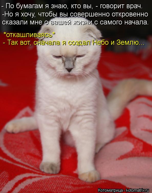 - По бумагам я знаю, кто вы, - говорит врач. -Но я хочу, чтобы вы совершенно откровенно сказали мне о... Котоматрица: - По бумагам я знаю, кто вы, - говорит врач. -Но я хочу, чтобы вы совершенно откровенно сказали мне о вашей жизни с самого начала. *откашливаясь*