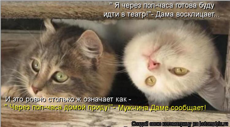 " Я через пол-часа готова буду идти в театр!"- Дама восклицает... И это ровно столько ж означает как ... Котоматрица: " Я через пол-часа готова буду идти в театр!"- Дама восклицает... И это ровно столько ж означает как - " Через пол-часа домой приду!"- Мужчина Даме