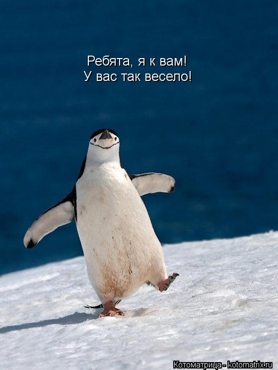 Ребята, я к вам! У вас так весело!... Котоматрица: Ребята, я к вам! У вас так весело!