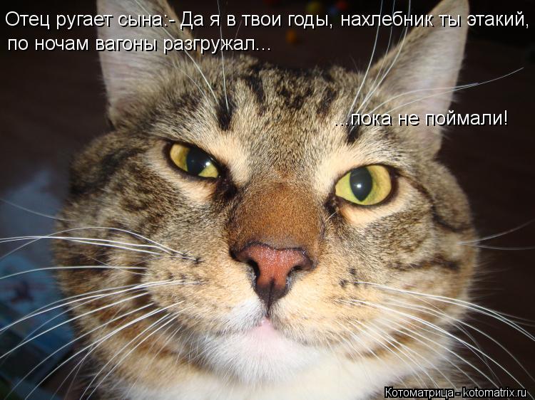 Отец ругает сына:- Да я в твои годы, нахлебник ты этакий, по ночам вагоны разгружал... ...пока не пой... Котоматрица: Отец ругает сына:- Да я в твои годы, нахлебник ты этакий, по ночам вагоны разгружал... ...пока не поймали!