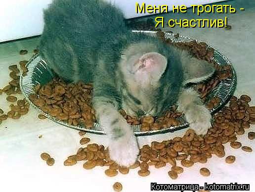 Меня не трогать - Я счастлив!... Котоматрица: Меня не трогать - Я счастлив!