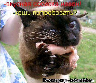 Котоматрица: -вкусная сосиска навен! -хошь попробовать?