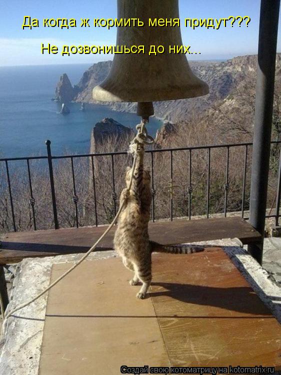 Не дозвонишься до них... Да когда ж кормить меня придут???... Котоматрица: Не дозвонишься до них... Да когда ж кормить меня придут???