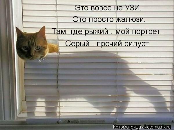 Это вовсе не УЗИ. Это просто жалюзи. Там, где рыжий – мой портрет, Серый – прочий силуэт.... Котоматрица: Это вовсе не УЗИ. Это просто жалюзи. Там, где рыжий – мой портрет, Серый – прочий силуэт.