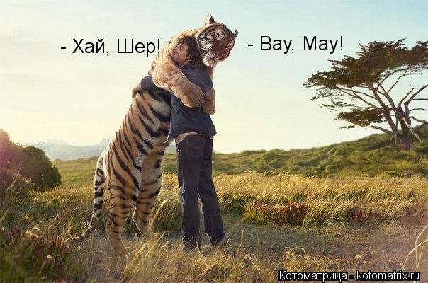 - Вау, Мау! - Хай, Шер!... Котоматрица: - Вау, Мау! - Хай, Шер!