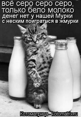 только бело молоко денег нет у нашей Мурки всё серо серо серо, с неским поиграться в жмурки... Котоматрица: только бело молоко денег нет у нашей Мурки всё серо серо серо, с неским поиграться в жмурки