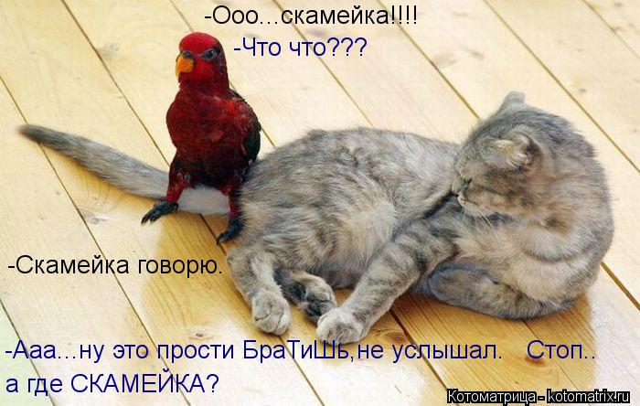 -Ооо...скамейка!!!! -Что что??? -Скамейка говорю. -Ааа...ну это прости БраТиШь,не услышал. Стоп.. а... Котоматрица: -Ооо...скамейка!!!! -Что что??? -Скамейка говорю. -Ааа...ну это прости БраТиШь,не услышал. Стоп.. а где СКАМЕЙКА?