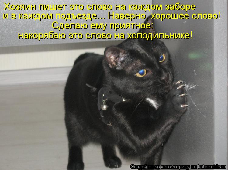 Котоматрица: Хозяин пишет это слово на каждом заборе  и в каждом подъезде... Наверно, хорошее слово! Сделаю ему приятное:  накорябаю это слово на холодильн