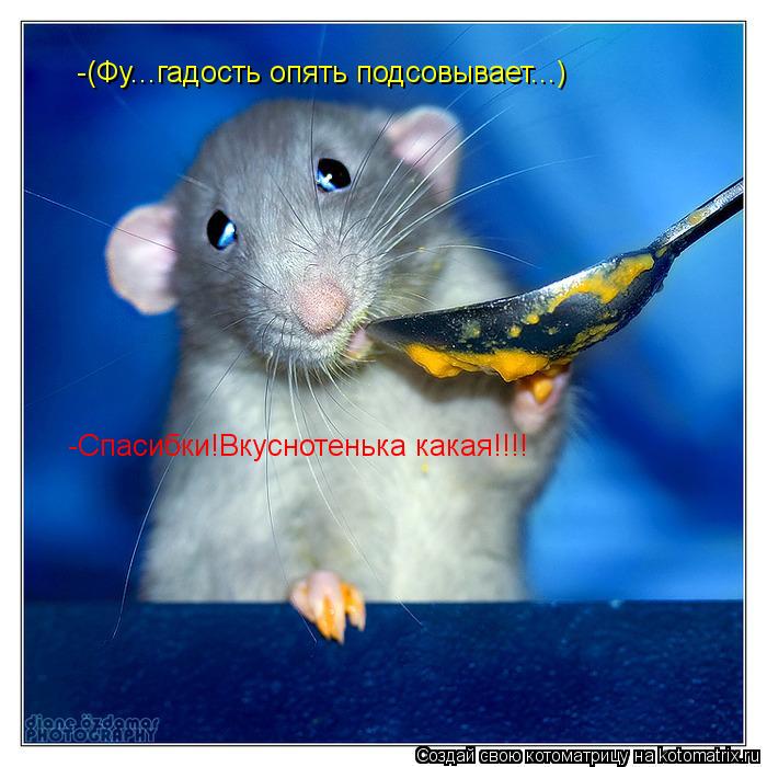 -(Фу...гадость опять подсовывает...) -Спасибки!Вкуснотенька какая!!!!... Котоматрица: -(Фу...гадость опять подсовывает...) -Спасибки!Вкуснотенька какая!!!!