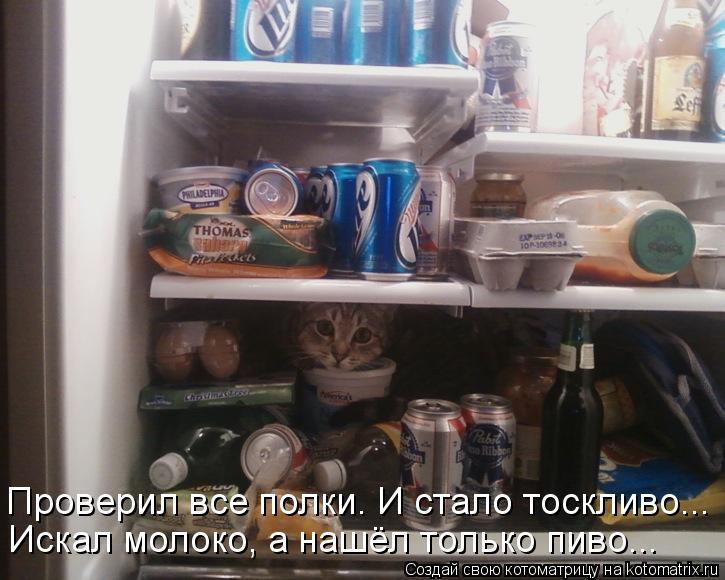 Котоматрица: Искал молоко, а нашёл только пиво... Проверил все полки. И стало тоскливо...