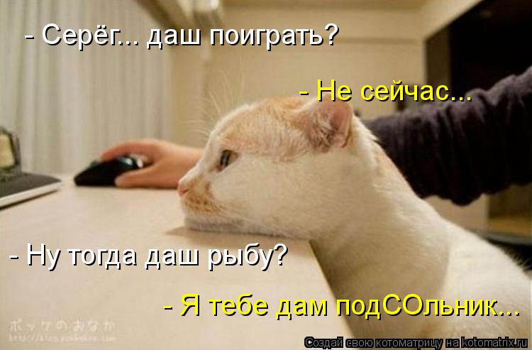 - Серёг... даш поиграть? - Не сейчас... - Ну тогда даш рыбу? - Я тебе дам подСОльник...... Котоматрица: - Серёг... даш поиграть? - Не сейчас... - Ну тогда даш рыбу? - Я тебе дам подСОльник...