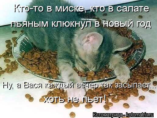 Ну, а Вася каждый вечер так засыпает... хоть не пьет! Кто-то в миске, кто в салате пьяным клюкнул в н... Котоматрица: Ну, а Вася каждый вечер так засыпает... хоть не пьет! Кто-то в миске, кто в салате пьяным клюкнул в новый год