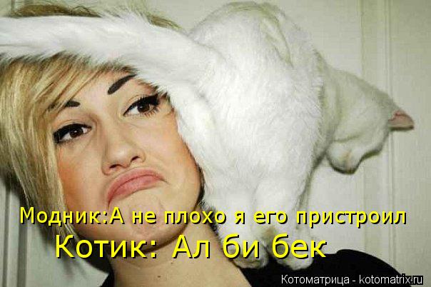 Модник:А не плохо я его пристроил Котик: Ал би бек... Котоматрица: Модник:А не плохо я его пристроил Котик: Ал би бек