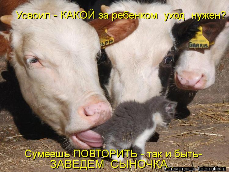 Усвоил - КАКОЙ за ребенком уход нужен? Сумеешь ПОВТОРИТЬ - так и быть- ЗАВЕДЕМ СЫНОЧКА..... Котоматрица: Усвоил - КАКОЙ за ребенком уход нужен? Сумеешь ПОВТОРИТЬ - так и быть- ЗАВЕДЕМ СЫНОЧКА..
