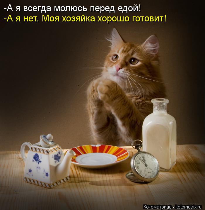 -А я всегда молюсь перед едой! -А я нет. Моя хозяйка хорошо готовит!... Котоматрица: -А я всегда молюсь перед едой! -А я нет. Моя хозяйка хорошо готовит!