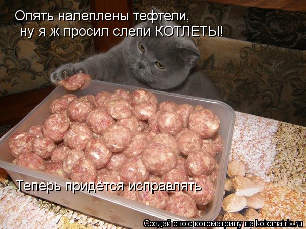 Опять налеплены тефтели, ну я ж просил слепи КОТЛЕТЫ! Теперь придётся исправлять... Котоматрица: Опять налеплены тефтели, ну я ж просил слепи КОТЛЕТЫ! Теперь придётся исправлять