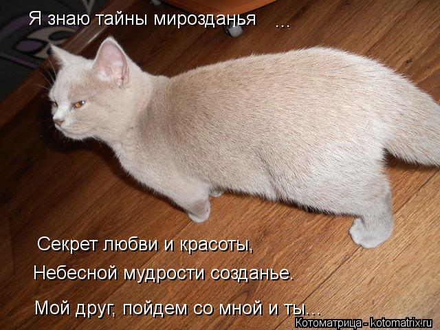 Я знаю тайны мирозданья ... Небесной мудрости созданье. Секрет любви и красоты, Мой друг, пойдем со м... Котоматрица: Я знаю тайны мирозданья ... Небесной мудрости созданье. Секрет любви и красоты, Мой друг, пойдем со мной и ты...