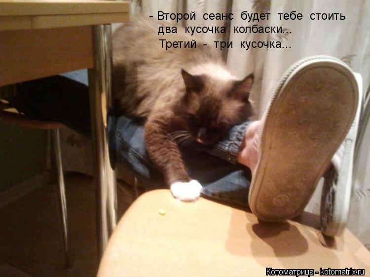 - Второй сеанс будет тебе стоить два кусочка колбаски... Третий - три кусочка...... Котоматрица: - Второй сеанс будет тебе стоить два кусочка колбаски... Третий - три кусочка...