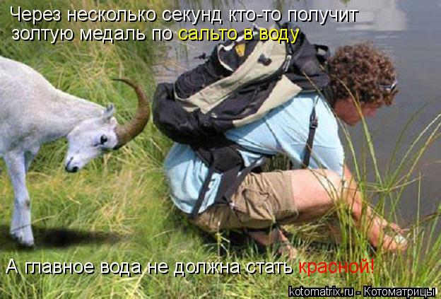 Через несколько секунд кто-то получит золтую медаль по сальто в воду А главное вода не должна стать ... Котоматрица: Через несколько секунд кто-то получит золтую медаль по сальто в воду А главное вода не должна стать красной!