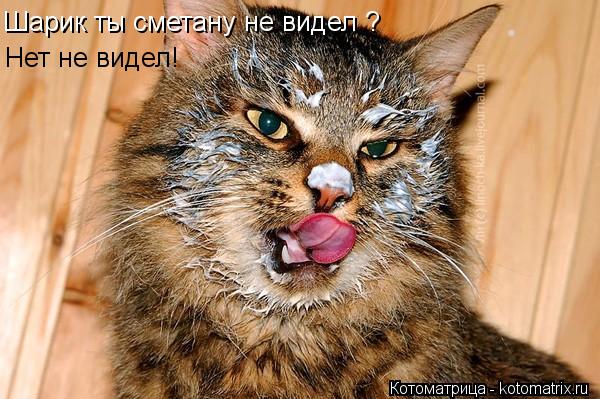 Котоматрица: Шарик ты сметану не видел ? Нет не видел!