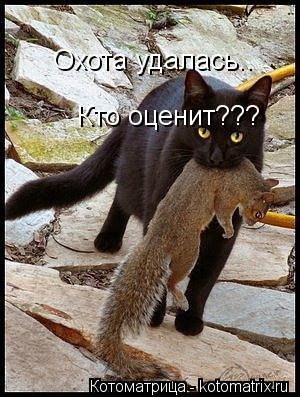Охота удалась.. Кто оценит???... Котоматрица: Охота удалась.. Кто оценит???