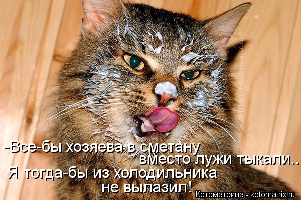 -Все-бы хозяева в сметану вместо лужи тыкали... Я тогда-бы из холодильника не вылазил!... Котоматрица: -Все-бы хозяева в сметану вместо лужи тыкали... Я тогда-бы из холодильника не вылазил!