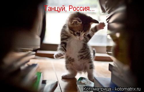 Танцуй, Россия...... Котоматрица: Танцуй, Россия...