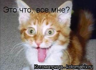Это что, все мне?... Котоматрица: Это что, все мне?