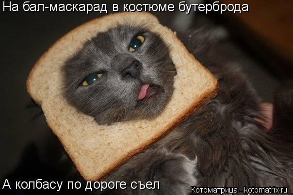 На бал-маскарад в костюме бутерброда А колбасу по дороге съел... Котоматрица: На бал-маскарад в костюме бутерброда А колбасу по дороге съел