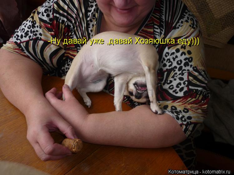 - -Ну давай уже ,давай Хозяюшка еду)))... Котоматрица: - -Ну давай уже ,давай Хозяюшка еду)))