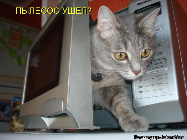 ПЫЛЕСОС УШЕЛ?... Котоматрица: ПЫЛЕСОС УШЕЛ?
