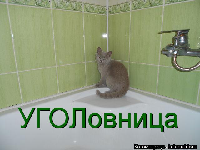 УГОЛовница... Котоматрица: УГОЛовница