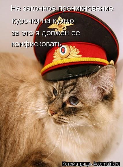 Не законное проникновение курочки на кухню за это я должен ее конфисковать... Котоматрица: Не законное проникновение курочки на кухню за это я должен ее конфисковать