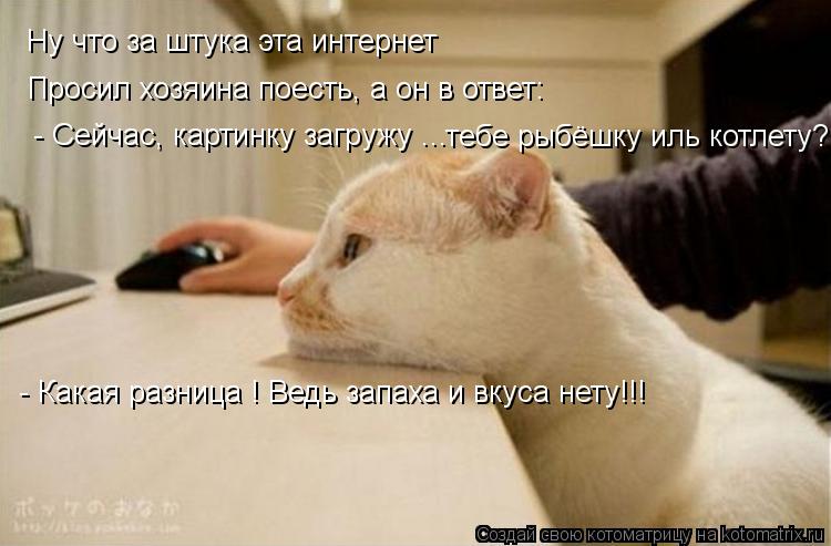 Ну что за штука эта интернет - Сейчас, картинку загружу ... Просил хозяина поесть, а он в ответ: тебе... Котоматрица: Ну что за штука эта интернет - Сейчас, картинку загружу ... Просил хозяина поесть, а он в ответ: тебе рыбёшку иль котлету? - Какая разница ! Ведь