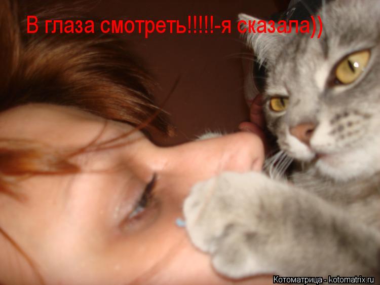 В глаза смотреть!!!!!-я сказала))... Котоматрица: В глаза смотреть!!!!!-я сказала))